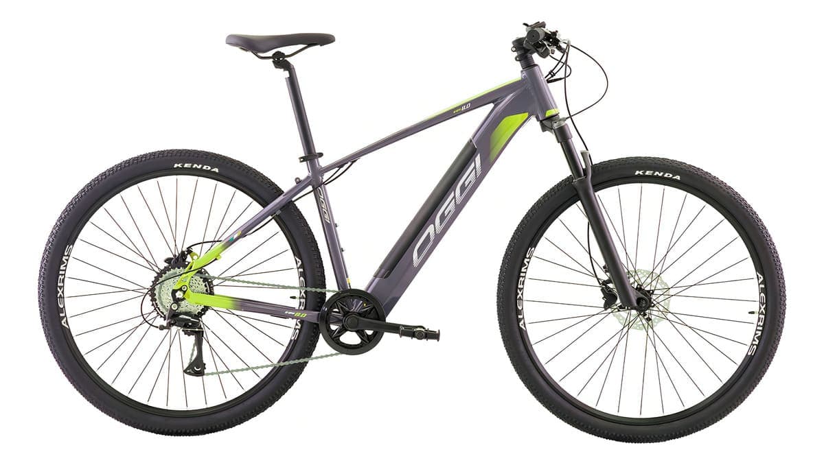 BIC ELETRICA OGGI 29 BW 8.0 32KM/H 8V CINZA/VD S - DCRE 2024/16454-9